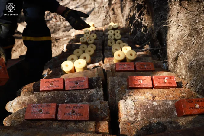Поблизу села на Волині, де на смерть підірвалися троє людей, знайшли 167 боєприпасів (фото)