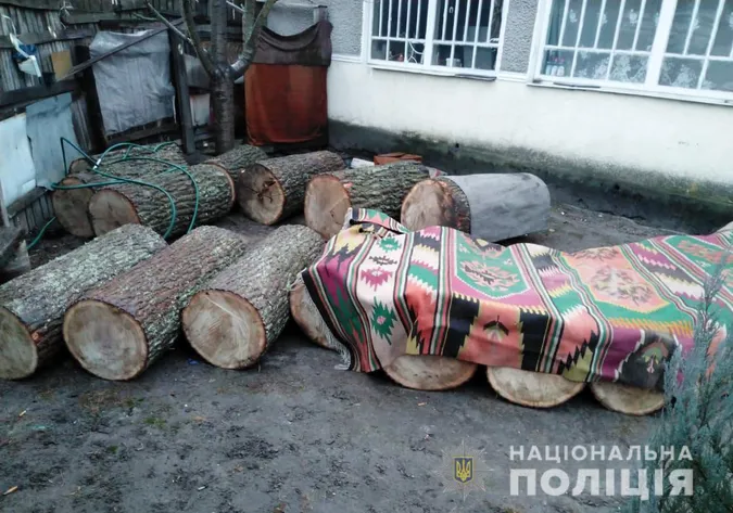 На подвір’ї у волинянина знайшли 31 колоду краденого дуба (фото)