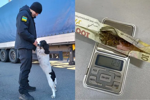 Айла і її знахідка в багажі пасажирів, які поверталися з Амстердама