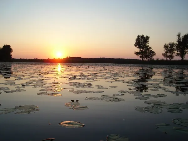 Де порибалити неподалік Волині: найкращі озера, річки та ставки (фото)