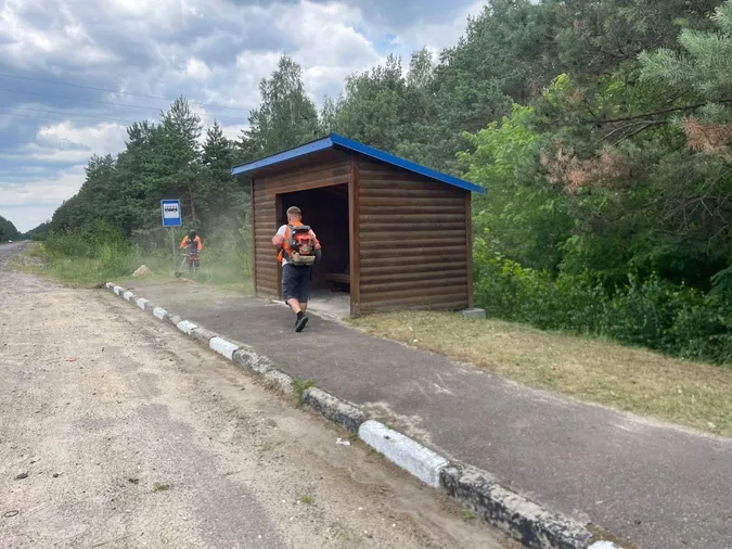 На дорогах Волині косять узбіччя та борються з борщівником (фото)