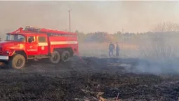 У Турійську виникла пожежа на площі три гектари (фото)
