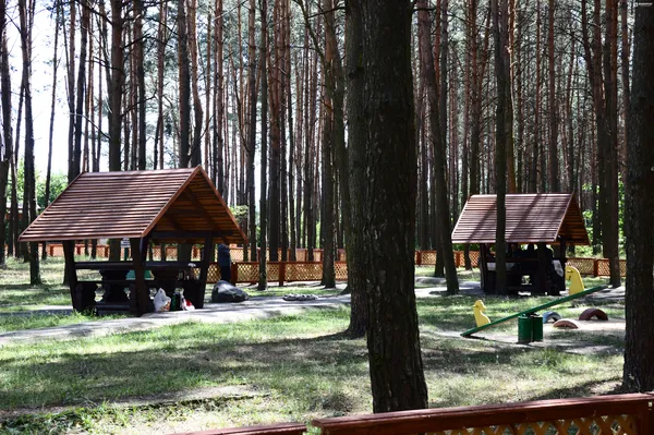 Лісівники соціальні: подорож рекреаційними пунктами Волині (фото)