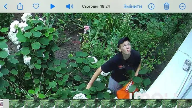 У Луцьку на ЛПЗ знову «обчистили» клумбу з квітами (відео)