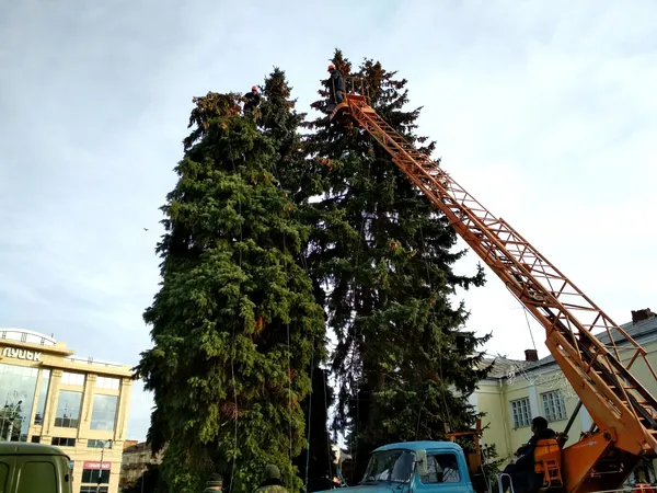 У Луцьку прикрашають головні ялинки міста (фото)