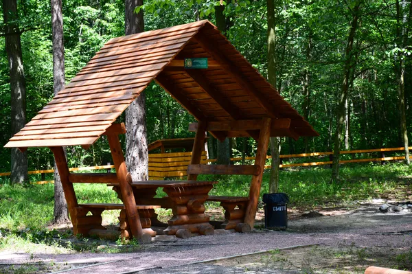 Лісівники соціальні: подорож рекреаційними пунктами Волині (фото)