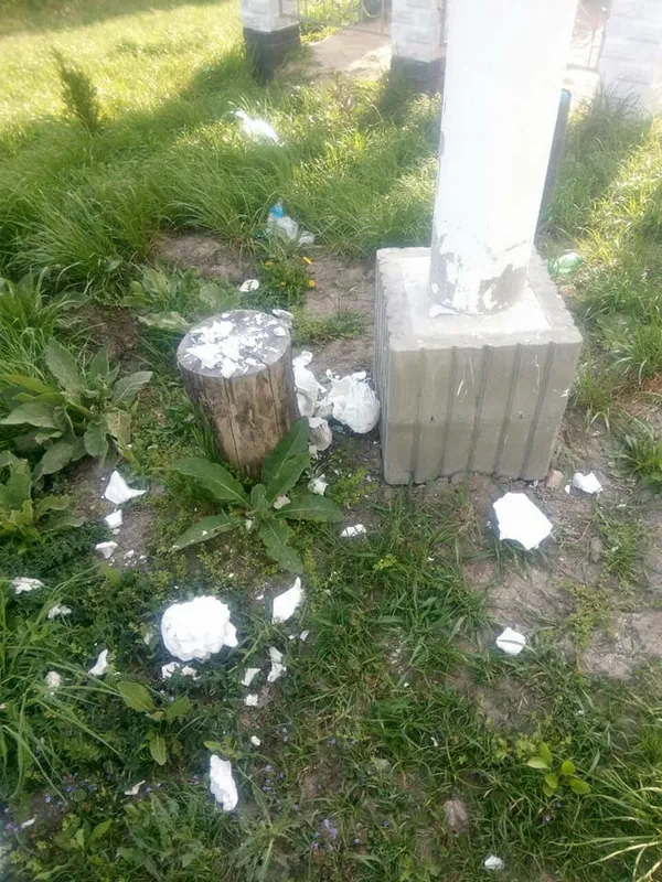 Вандали розгромили парк поблизу Луцька (фото)