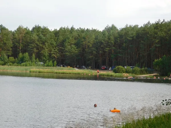 Морські пляжі посеред лісу: на Поліссі причаїлося глибоке озеро з цілющою водою (фото)