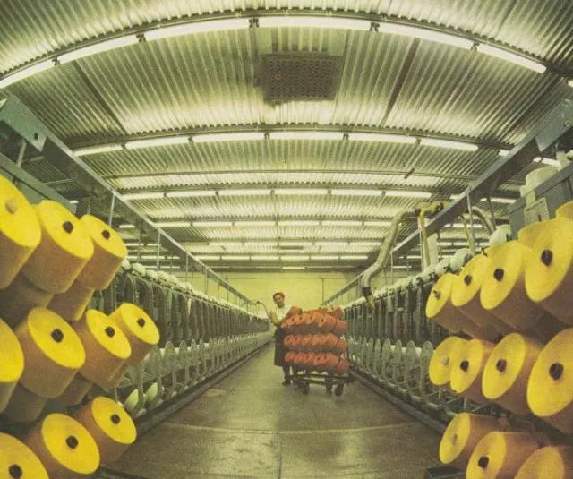 Майно збанкрутілого волинського шовкового комбінату продали на аукціоні: за скільки