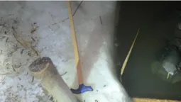 У Ковелі на водосховищі знайшли тіло жінки (фото 18+)