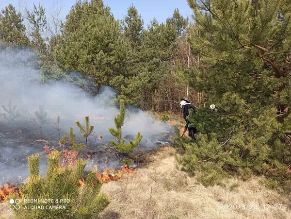На Волині за минулу добу погасили 20 пожеж (фото)
