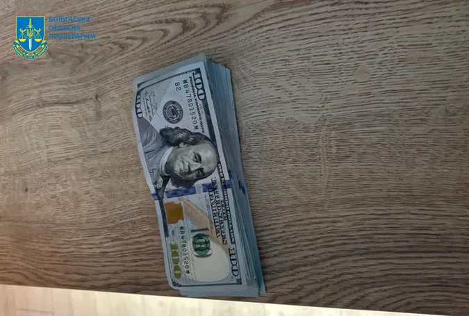 Знищили понад 1100 дерев: на Волині викрили організовану групу крадіїв лісу (фото)