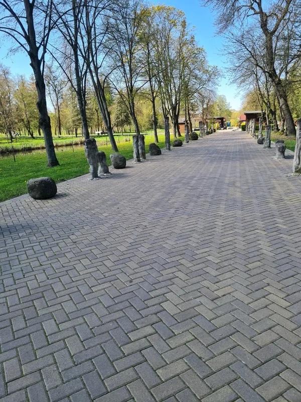 Весняний Луцьк: показали фото заквітчаного міста