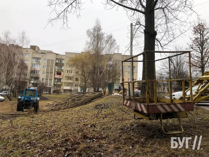 Карма: у Нововолинську суха тополя впала на авто, припарковане у «зеленій» зоні (фото, відео)