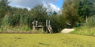 На Поліссі річку потопила рослина без коріння: Стохід перетворився на суцільний зелений килим (фото)
