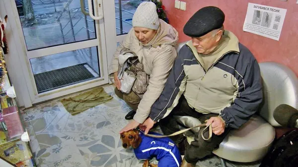 Взяв кредит та відкрив ветклініку: переселенець з Херсона лікує тварин у Луцьку (фото, відео)