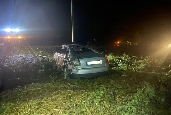 На Волині Audi злетіла у кювет – постраждали водій і пасажир (фото, відео)