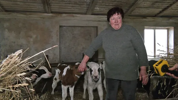 5 300 грн на корову: як у Луцькому районі розвивають тваринництво (відео)