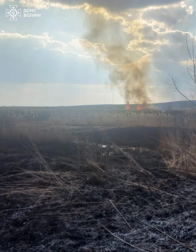 Стовпи вогню – гігантські: Волинь охопили масові пожежі (фото)
