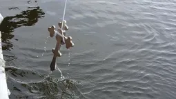 Хто з відомих волинян скупався в ополонці на Водохреще (фото) 