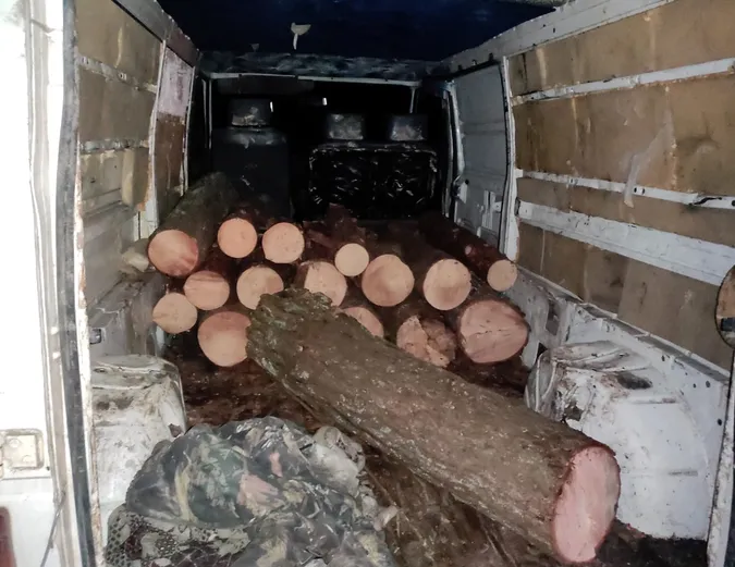 На Волині зловили двох молодих соснорубів (фото)