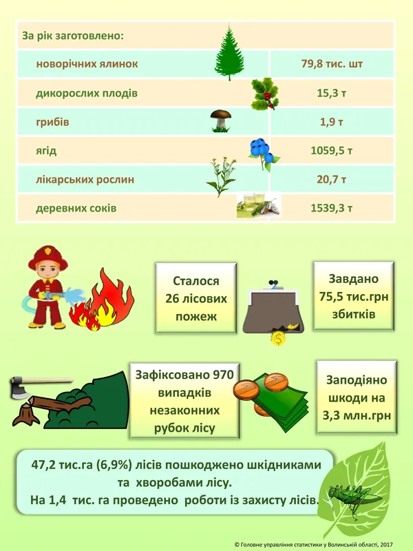 Підрахували, скільки на Волині лісів (інфографіка)