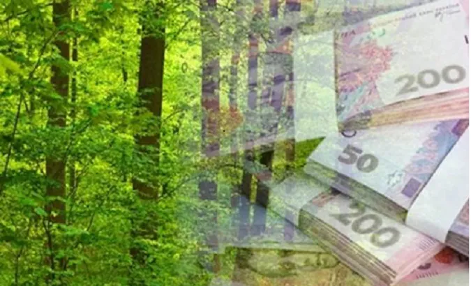 Завдяки лісовим ресурсам Волині до бюджетів сплатили понад 35 мільйонів гривень