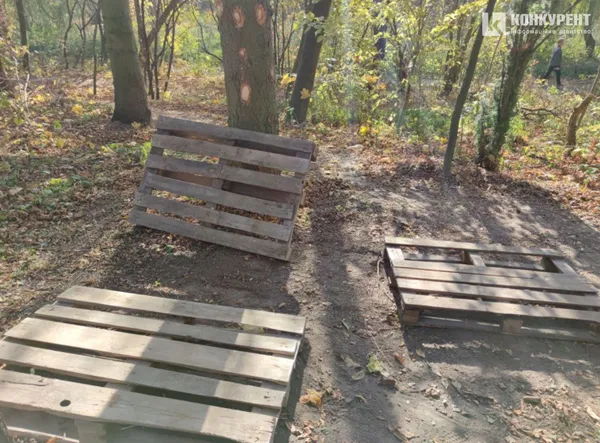 Без пияків, пляшок та шприців: як може змінитись частина берегу Сапалаївки (фото)