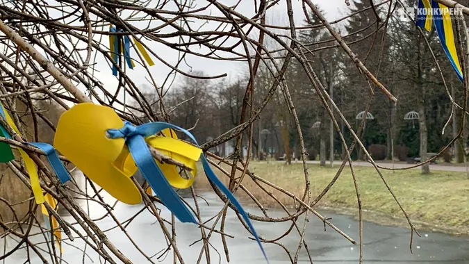 «А за вікном майже весна»: як луцький парк її зустрів (фото)