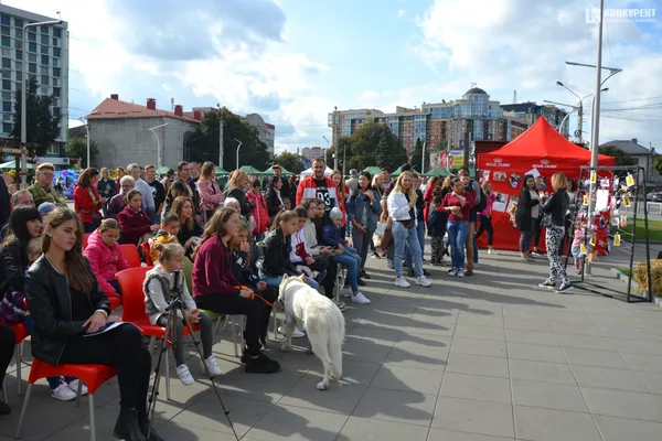 «Мокрі носики»: у Луцьку котики й собаки шукають господарів (ФОТО)
