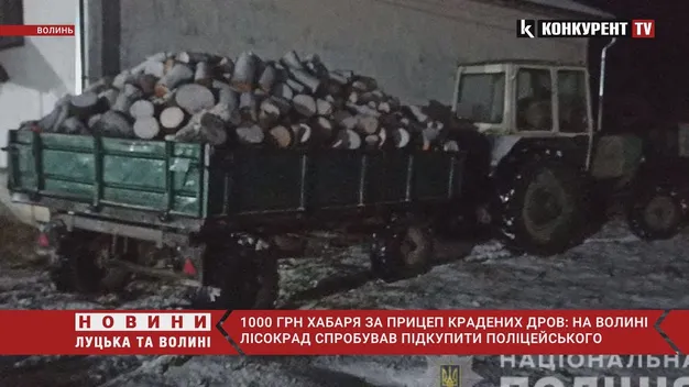 Пропонував тисячу гривень: на Волині впіймали чоловіка з повним причепом дров (фото, відео)