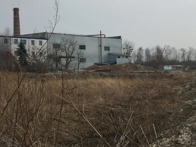 Чому затягують із утилізацією рештків на ковельському ветсанзаводі