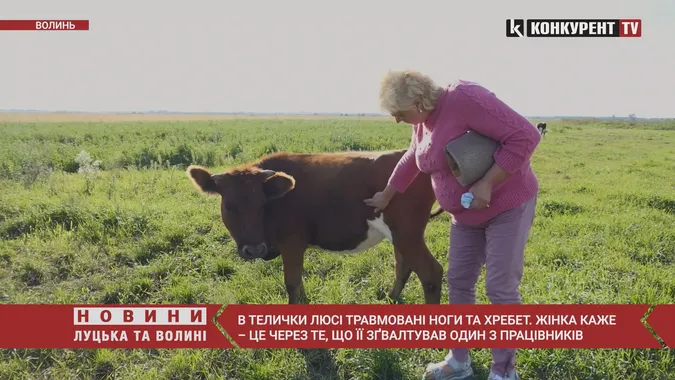 Секс з телятами біля Луцька. Ми поїхали у село і дізналися, що говорять люди (відео)