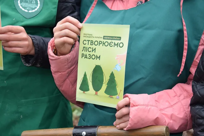 На Волині діти висадили понад 6 тисяч сіянців сосни (фото)