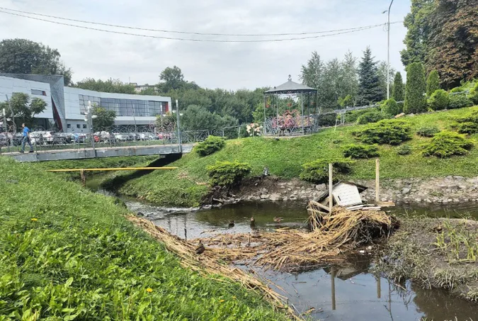 У Луцьку злива зруйнувала будиночки місцевих качок (фото)