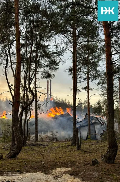 На Волині – масштабна пожежа на деревообробному підприємстві (фото)
