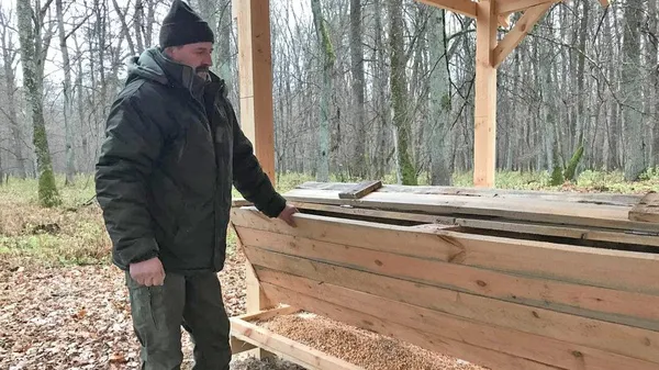 Нова конструкція: у Звірівському лісництві встановили нові годівниці для звірів (фото, відео)