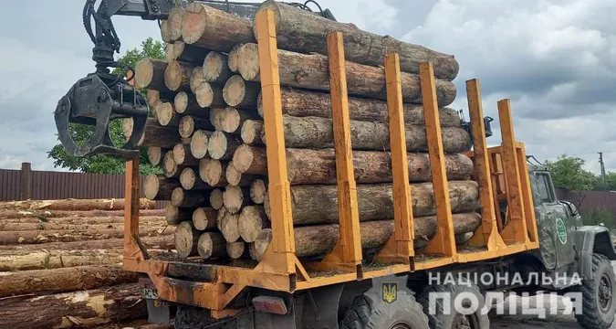 На пилорамі в Колках знайшли 15 «кубів» незаконної деревини (фото, відео)