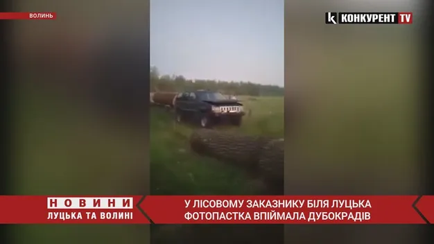 У лісовому заказнику біля Луцька фотопастка впіймала дубокрадів (фото, відео)