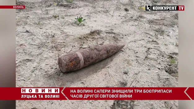 На Волині знищили три боєприпаси, знайдені під час сільгоспробіт (фото, відео)
