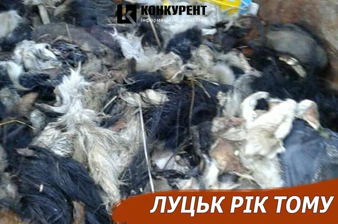 Луцьк рік тому: смердючі шкури та покинутий малюк