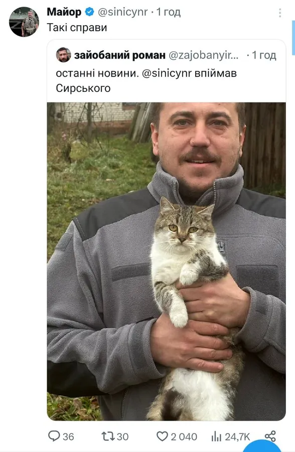 Мережу замилував новий мемний кіт Сирський: хто він такий і до чого тут Волинь