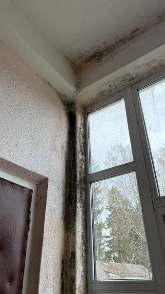 Пліснява, тріщини і зламаний котел: на Волині жахнулися станом прихистку для ВПО (фото)
