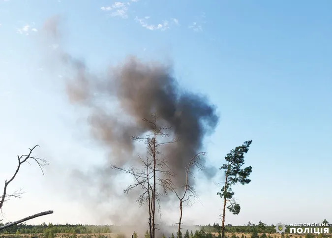 На Рівненщині корови підірвалися на мінах (фото)
