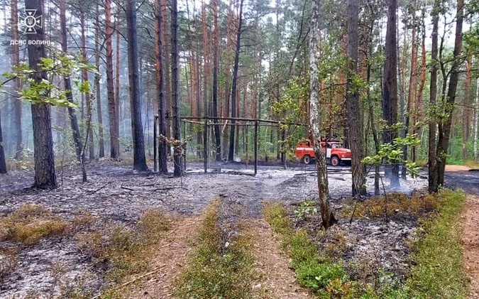 У Луцькому районі невідомі підпалили ліс – він горів пів дня
