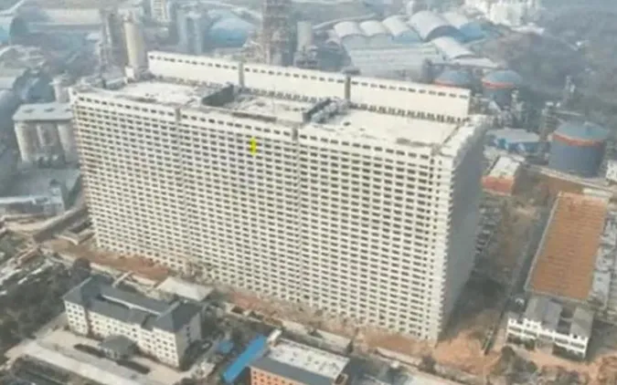 У Китаї почали розводити свиней у 26-поверхових хмарочосах
