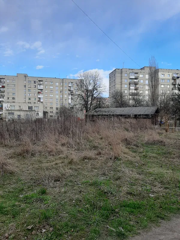 Не моє сміття, але моя планета: луцька школярка започаткувала корисний челендж (фото)