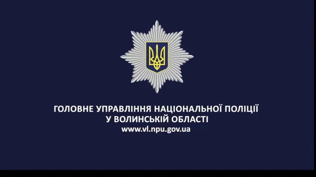 На Волині шукають свідків аварії, в якій вщент згоріло авто (фото)