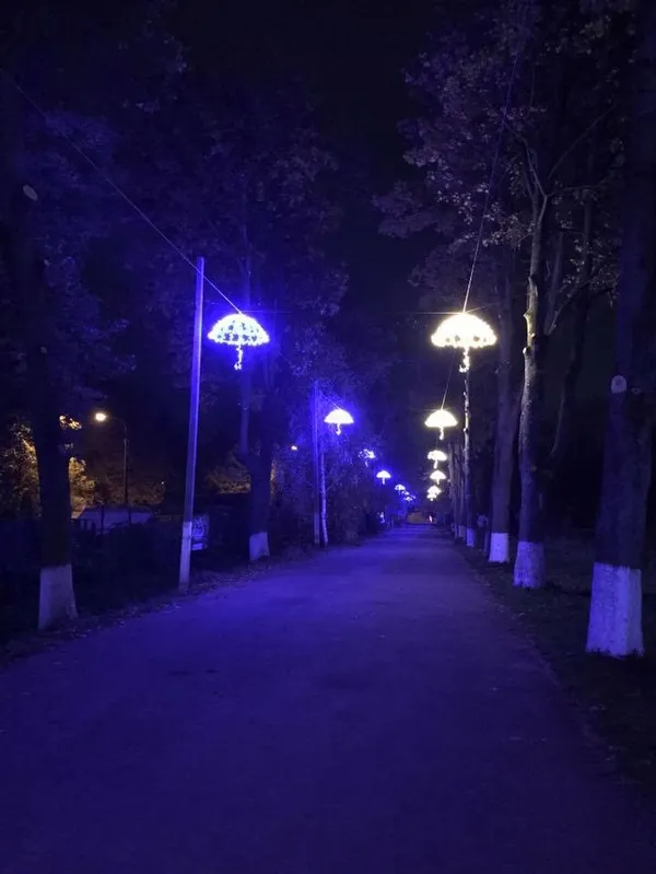 Як змінився центральний парк Луцька (фото)