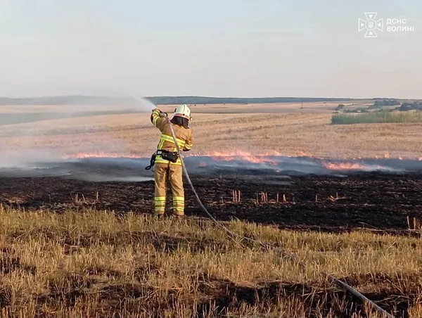 Пожежі охопили кілька громад Волині: вогонь дістався торфовища (фото)